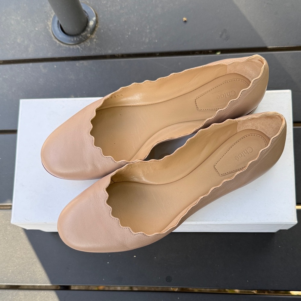 Chloe Lauren ballet flat in Pink Tea. Size 6.5